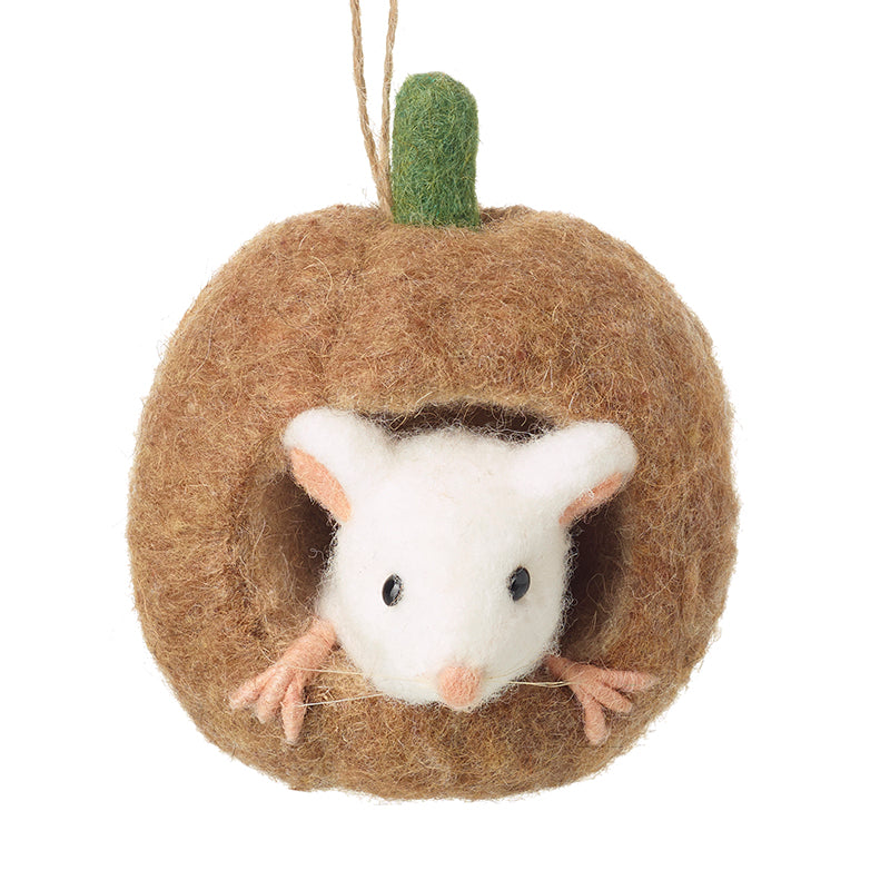 Felt Mouse in Mouse House