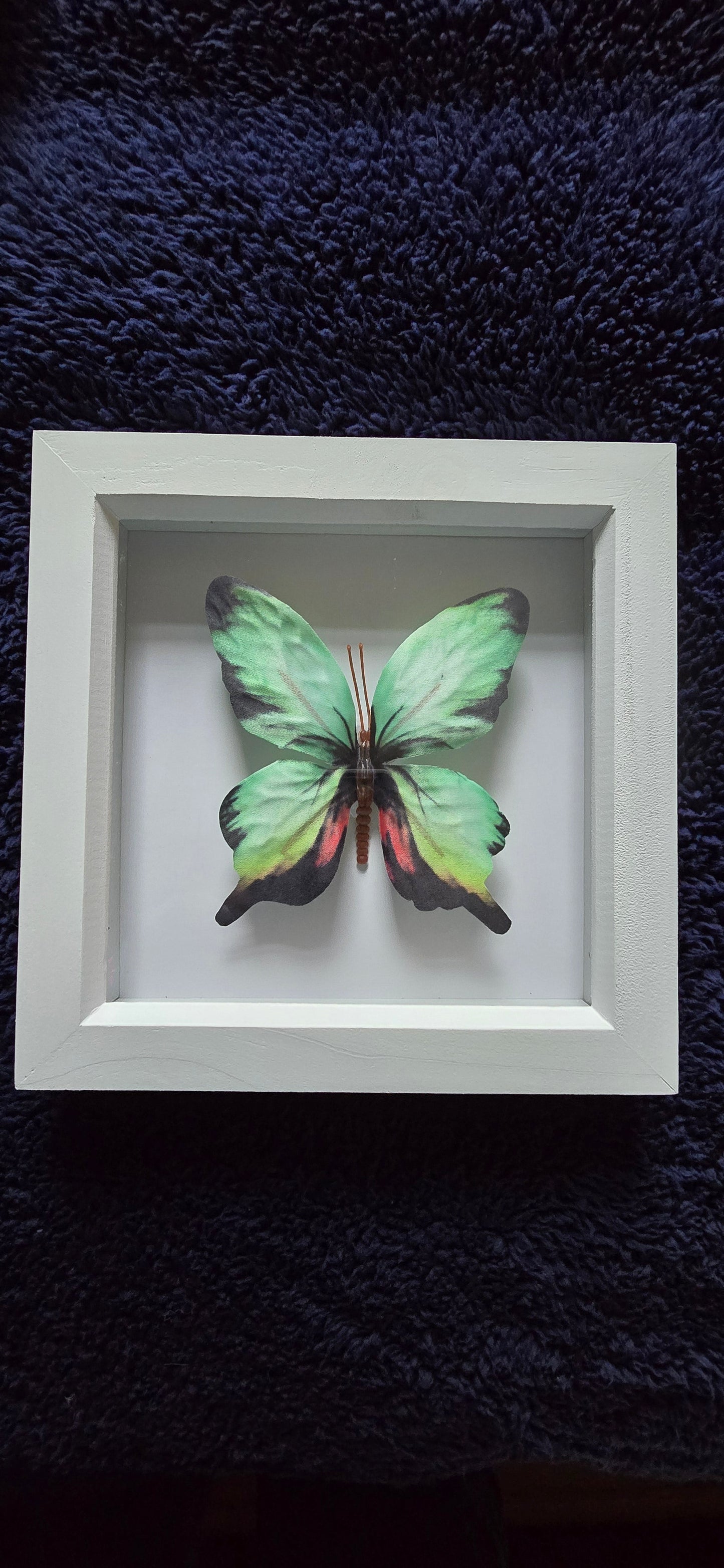 Butterfly Wall Art