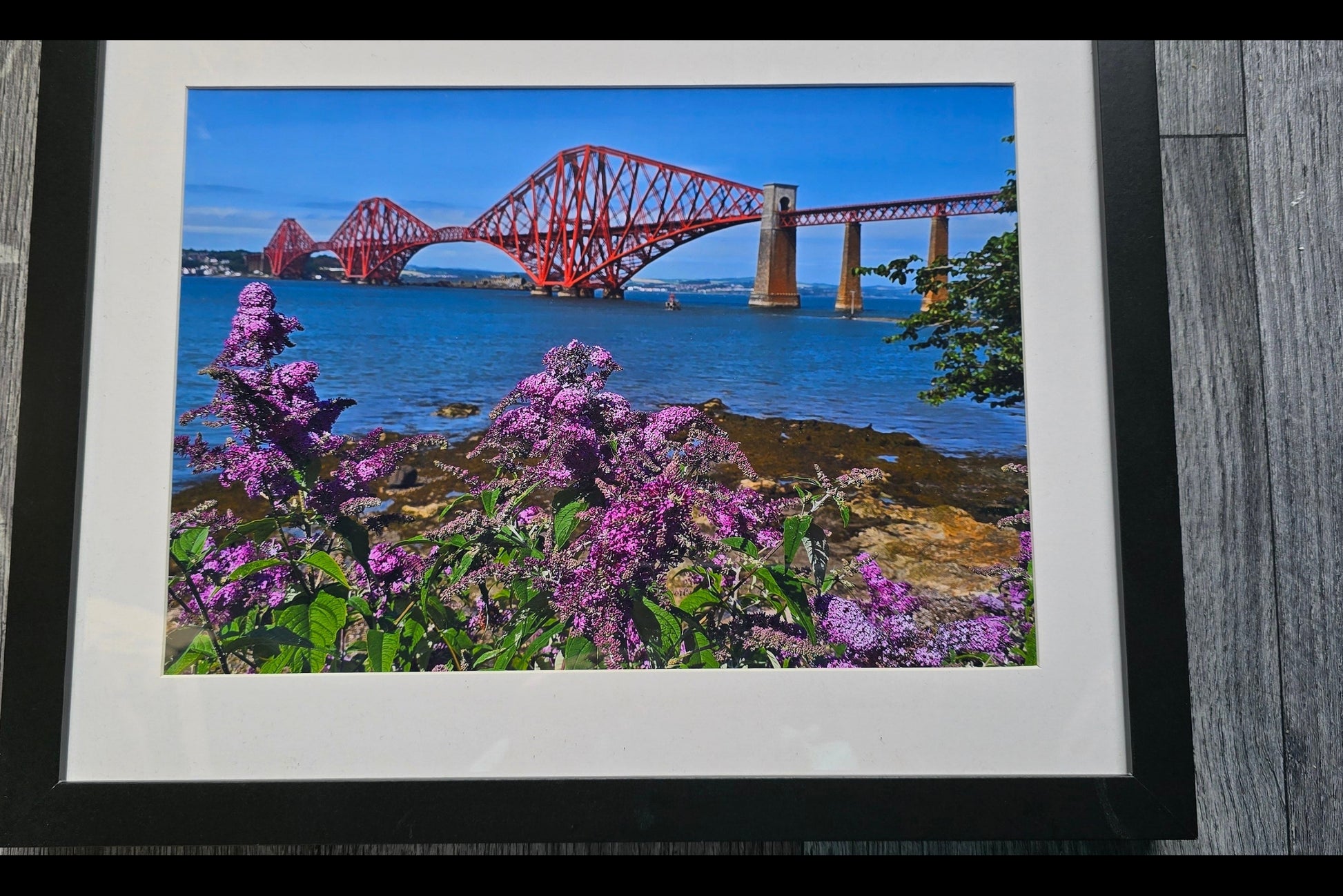 A framed photographic print of the Forth Bridge in Scotland, featuring a vibrant red bridge over blue water with purple wildflowers in the foreground, mounted on a gray wood-paneled wall.