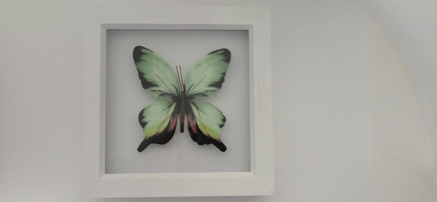 Butterfly Wall Art